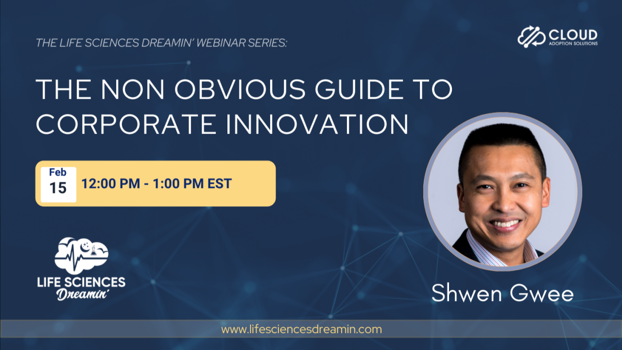 The Non-Obvious Guide to Corporate Innovation
